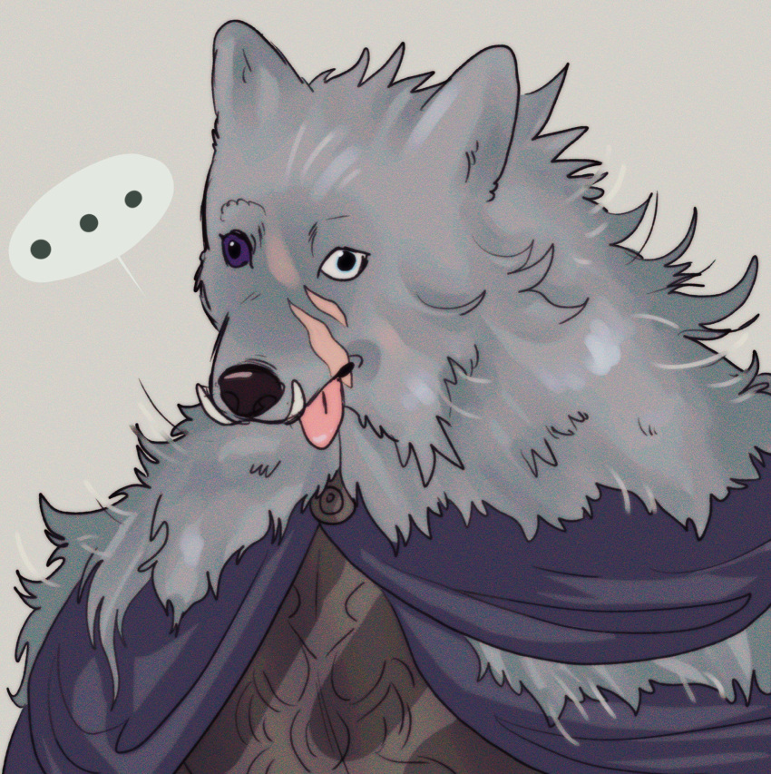... 1boy :p animal_head armor blaidd_the_half-wolf breastplate cape colored_sclera elden_ring film_grain furry furry_male grey_background highres looking_at_viewer male_focus mismatched_sclera purple_cape purple_sclera scar scar_on_cheek scar_on_face solo spicytanuki13 spoken_ellipsis tongue tongue_out tusks upper_body wall-eyed