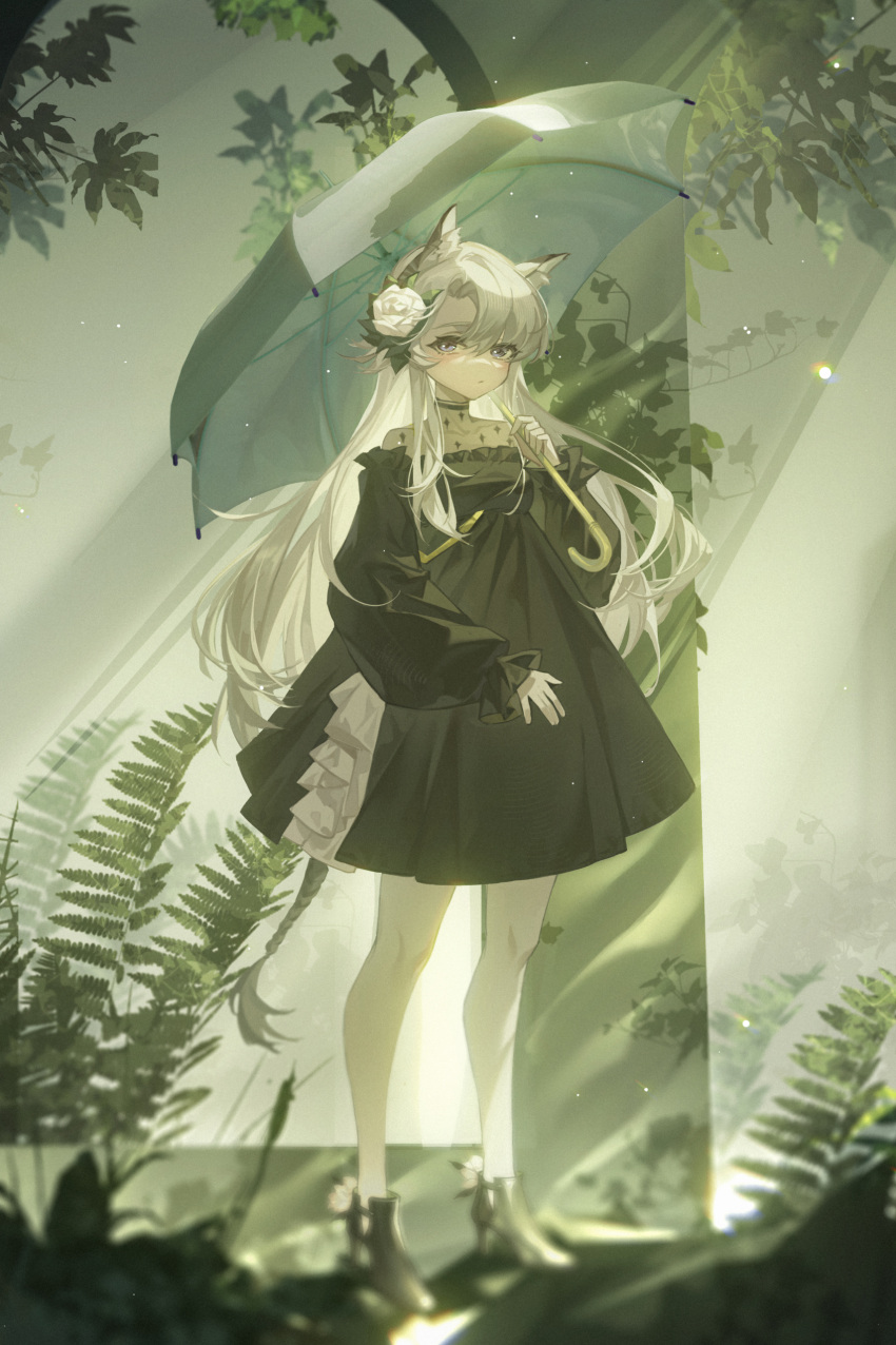 1girl absurdres animal_ears arknights black_dress black_footwear boots broken_glass close-up commentary_request dress full_body glass grey_hair heavyrain_(arknights) heavyrain_(tranquil_moss)_(arknights) highres holding holding_umbrella long_hair long_sleeves looking_at_viewer official_alternate_costume overgrown plant puffy_sleeves ruins solo standing tail tuzhate umbrella very_long_hair violet_eyes
