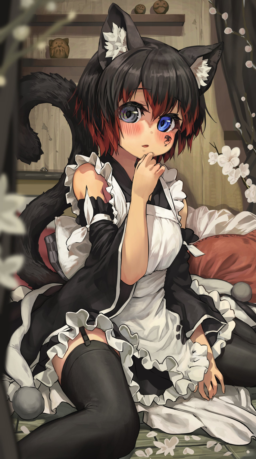 1girl absurdres animal_ear_fluff animal_ears apron bangs bare_shoulders black_dress black_hair black_legwear blue_eyes blurry blurry_foreground blush branch breasts commission depth_of_field detached_sleeves dress eyebrows_visible_through_hair facial_mark flower flower_request foot_out_of_frame frills garter_straps grey_eyes hair_between_eyes hand_on_own_chin hand_up heterochromia highres indoors long_sleeves looking_at_viewer medium_breasts melaton multicolored_hair original parted_lips redhead shelf short_hair sitting skeb_commission solo tail thigh-highs two-tone_hair wariza white_apron white_flower wide_sleeves wooden_floor