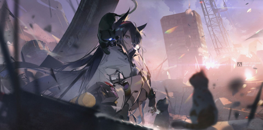 1girl animal animal_ears arknights black_cat black_hair black_legwear blaze_(arknights) blue_eyes blurry cat cat_ears day depth_of_field highres jacket kneehighs long_hair long_sleeves mouth_hold outdoors pouch ruins solo squatting sunlight tracyton very_long_hair white_jacket
