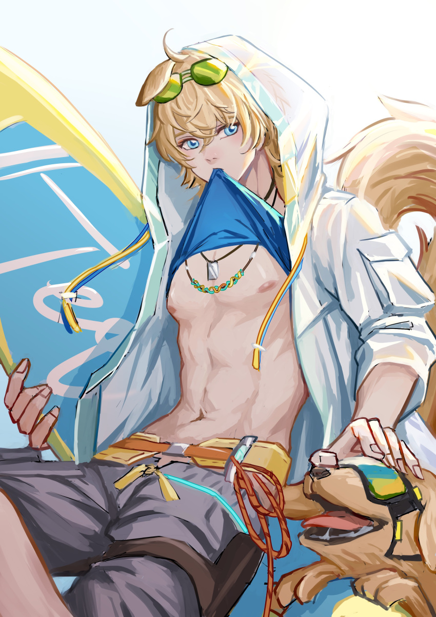 abs absurdres animal_ears arknights blonde_hair blue_eyes eyewear_on_head golden_retriever highres jewelry navel pectorals smilychance surfboard tail tequila_(arknights)