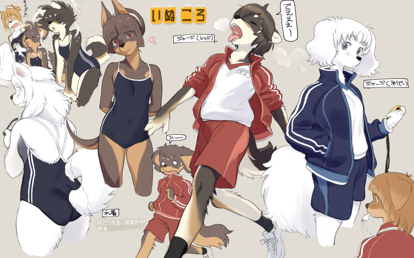 6+girls animal_ears animal_nose arms_behind_back ass blue_jacket body_fur brown_eyes brown_fur brown_hair closed_eyes closed_mouth commentary_request covered_navel eyebrows_visible_through_hair fangs furry furry_female grey_background hand_in_pocket highres jacket kikurage_(crayon_arts) looking_at_viewer multiple_girls multiple_views one-piece_swimsuit open_mouth original red_eyes red_jacket red_shorts running shoes short_hair shorts simple_background snout swimsuit tail teeth track_jacket wet whistle white_footwear white_fur