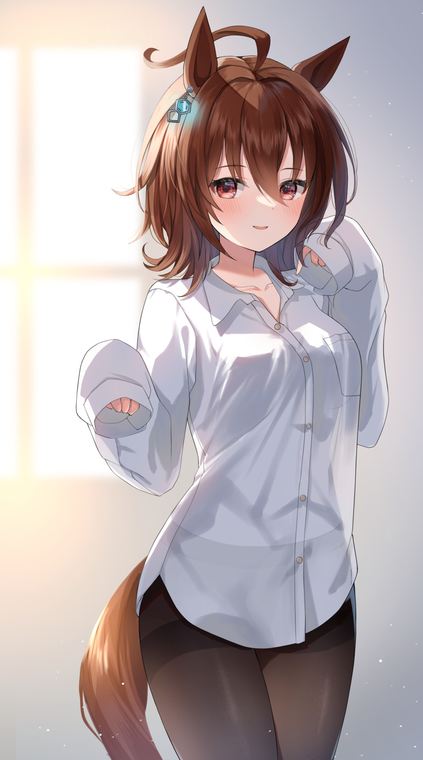 1girl absurdres agnes_tachyon_(umamusume) ahoge animal_ears bangs black_legwear blurry blurry_background breasts brown_hair collared_shirt depth_of_field dress_shirt etesumsom eyebrows_visible_through_hair hair_between_eyes hands_up highres horse_ears horse_girl horse_tail long_sleeves looking_at_viewer medium_breasts pantyhose parted_lips red_eyes shirt sleeves_past_fingers sleeves_past_wrists smile solo tail thighband_pantyhose umamusume white_shirt window