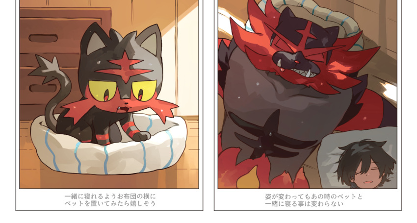 1boy :d bangs black_hair border closed_eyes collarbone commentary_request fang furry incineroar indoors litten looking_down lying male_focus newo_(shinra-p) on_back open_mouth pet_bed pillow pokemon pokemon_(creature) red_eyes sharp_teeth short_hair sleeping smile teeth tongue translation_request white_border wooden_floor