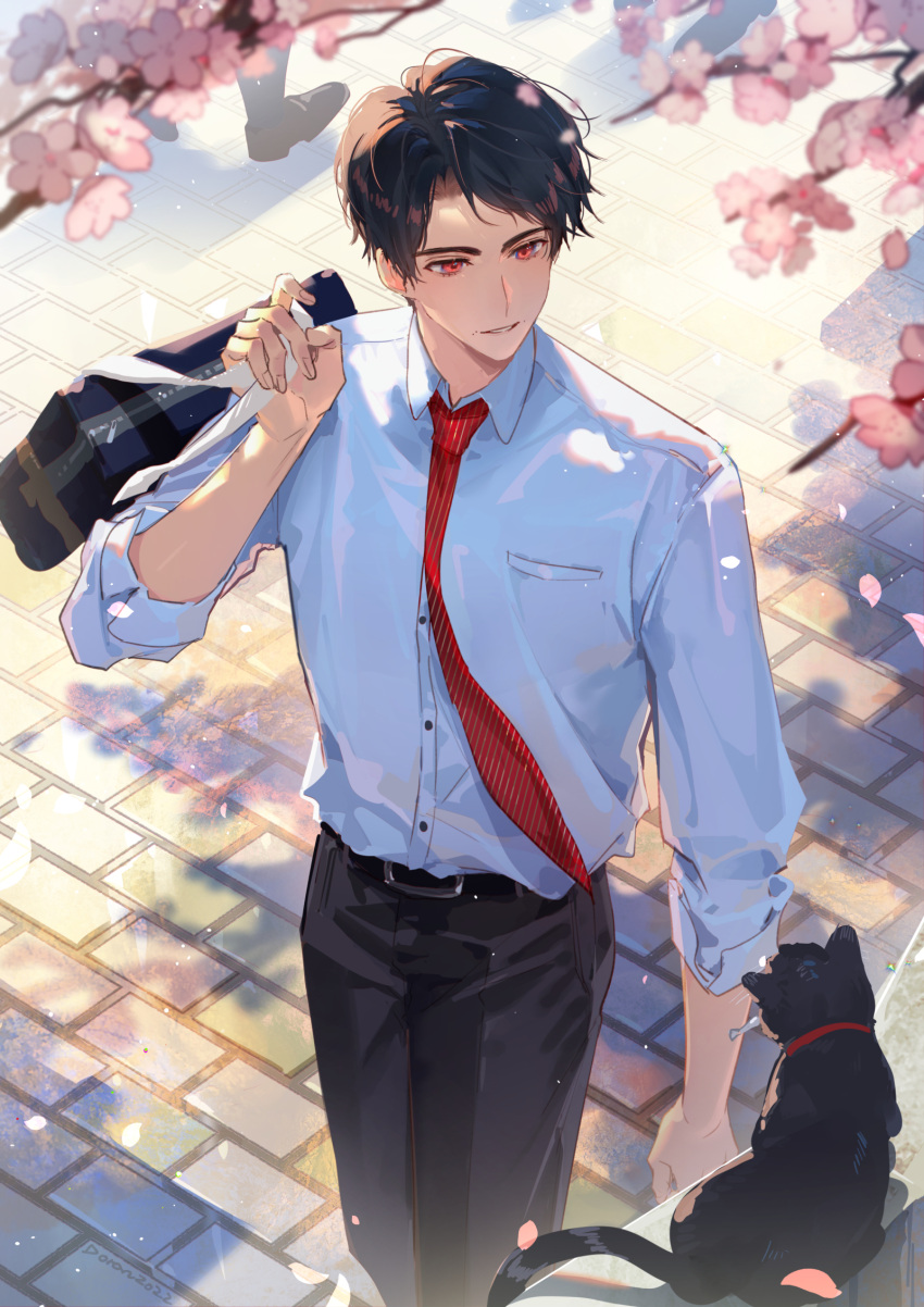 1boy belt belt_buckle black_pants breast_pocket brick_floor briefcase buckle cat cherry_blossoms doran7280 highres igarashi_ikki kamen_rider kamen_rider_revice light male_focus necktie pants pocket red_eyes school_uniform shirt short_hair sleeves_rolled_up smile tiles white_shirt younger