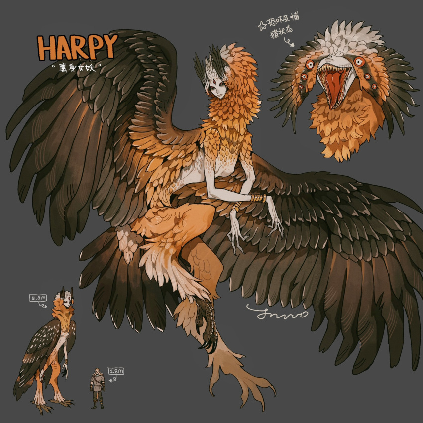 1boy 1girl bird_legs bracelet breasts brown_feathers claws commentary extra_eyes harpy head_wings highres jewelry juanmao monster_girl multiple_views open_mouth orange_feathers original size_comparison small_breasts talons wings