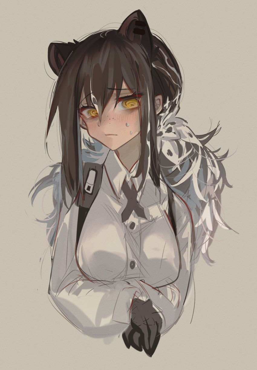 1girl @_@ animal_ears animal_hands arknights black_ribbon blush collared_shirt dress_shirt extra_ears eyebrows_visible_through_hair freckles grey_background hair_between_eyes highres kaguura_(kagu) long_hair long_sleeves looking_at_viewer multicolored_hair neck_ribbon own_hands_together ponytail raccoon_ears ribbon robin_(arknights) shirt sidelocks simple_background sketch solo streaked_hair sweatdrop upper_body white_hair white_shirt yellow_eyes