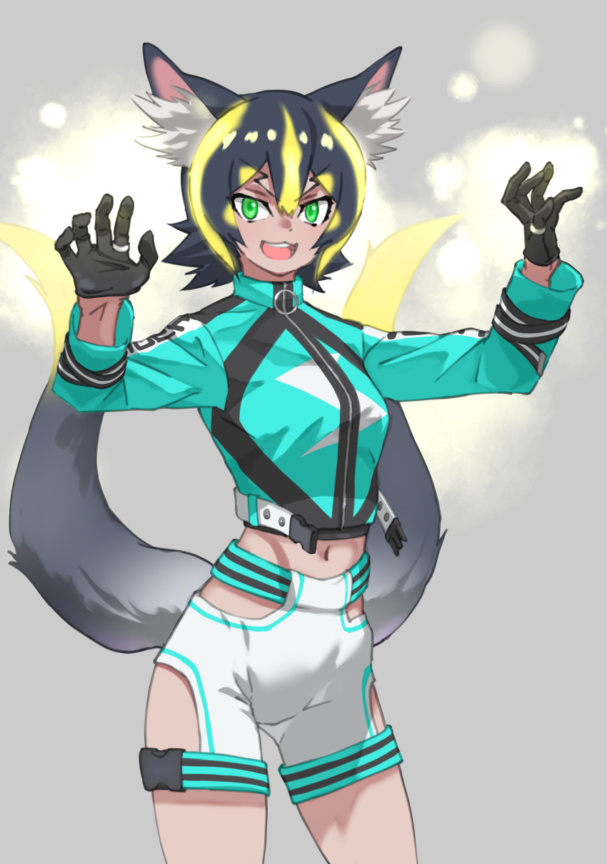1girl :3 :d absurdres animal_ear_fluff animal_ears bangs belt black_gloves black_hair blonde_hair claw_pose commentary cowboy_shot eyebrows_visible_through_hair gloves green_eyes grey_background hair_between_eyes hands_up highres hip_vent kemono_friends long_sleeves looking_at_viewer midriff multicolored_hair multiple_tails navel open_belt open_mouth raijuu_(kemono_friends) short_hair shorts simple_background smile solo tail tanabe_(fueisei) two-tone_hair two_tails