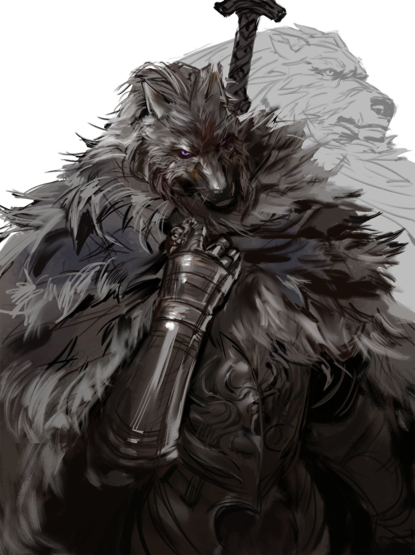 1boy armor blaidd_the_half-wolf breastplate elden_ring furry furry_male gauntlets highres jang_ju_hyeon looking_at_viewer male_focus multiple_views projected_inset simple_background sketch solo sword violet_eyes weapon weapon_on_back white_background