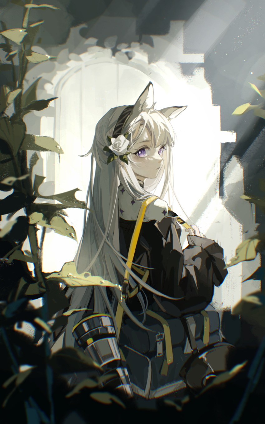 1girl absurdres animal_ear_fluff animal_ears arknights bag black_dress black_hairband closed_mouth cowboy_shot dress flower from_behind hair_flower hair_ornament hairband heavyrain_(arknights) heavyrain_(tranquil_moss)_(arknights) highres horse_ears indoors light_rays long_hair long_sleeves looking_at_viewer looking_back official_alternate_costume plant rose shieryue164 shoulder_bag silver_hair solo sunbeam sunlight very_long_hair white_flower white_rose window