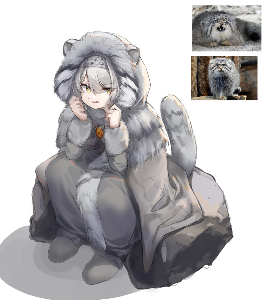 1girl absurdres animal animal_request bangs boots boulder cape capelet commentary dress ears_through_headwear english_commentary fang full_body fur-trimmed_hood fur-trimmed_sleeves fur_capelet fur_trim grey_cape grey_dress grey_footwear grey_hair grey_scarf grey_theme grumpy hairband hands_up highres hood hood_up hooded_cape jewelry long_sleeves looking_at_viewer mole necklace original pendant personification pet photo-referenced photo_inset polyvora reference_photo scarf simple_background sitting solo tail uneven_eyes white_background yellow_eyes