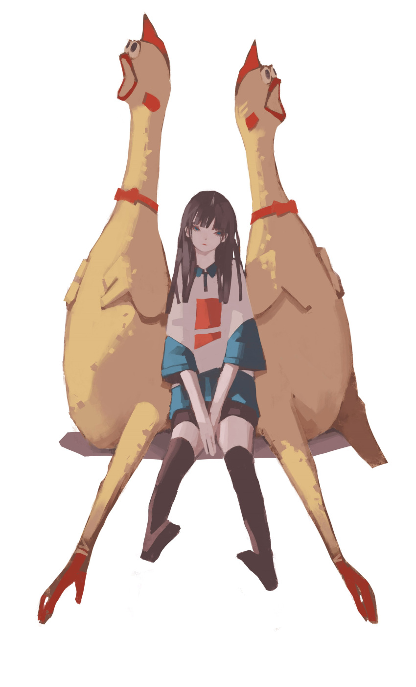 1girl absurdres bangs black_legwear black_shorts blue_shirt brown_hair closed_mouth highres long_hair looking_at_viewer no_shoes original rubber_chicken shirt shorts simple_background sitting solo thigh-highs tuoer two-tone_shirt white_background white_shirt