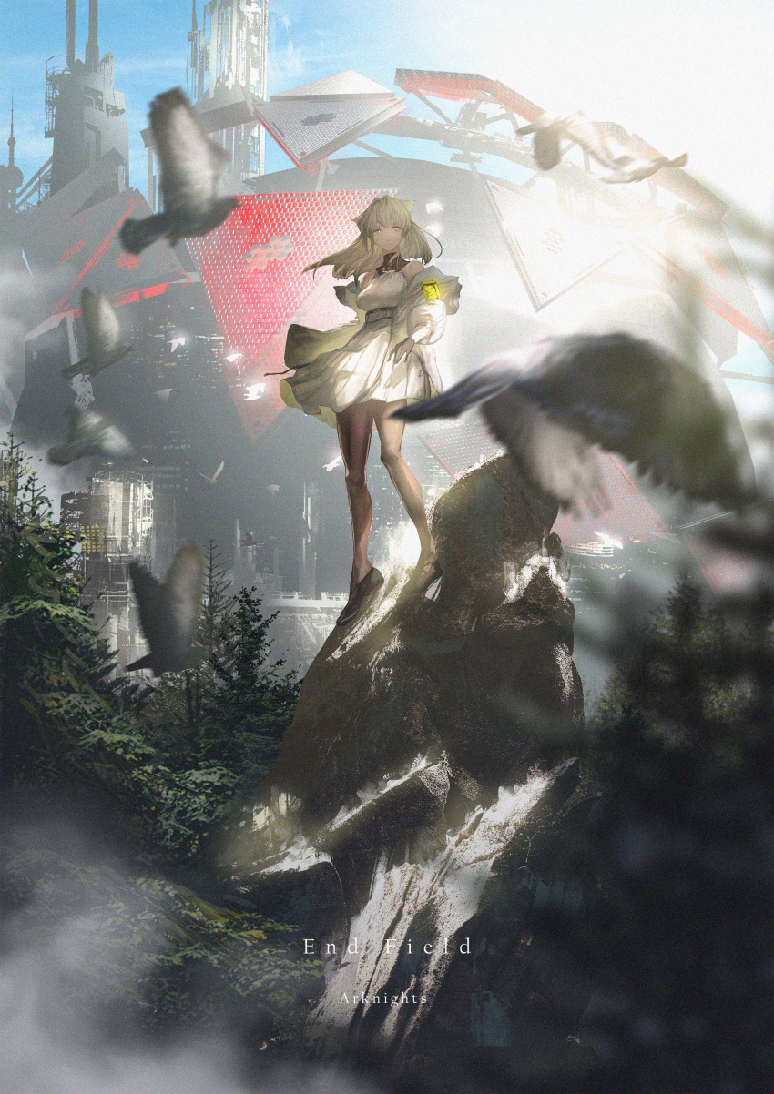 1girl absurdres animal_ears arknights arknights:_endfield black_footwear black_gloves black_legwear blue_eyes copyright_name dress gloves gyoukan_(jfxc) highres jacket long_hair looking_at_viewer on_rock open_clothes open_jacket orb outdoors pantyhose perlica_(arknights) rock sleeveless sleeveless_dress solo standing tree white_dress white_jacket
