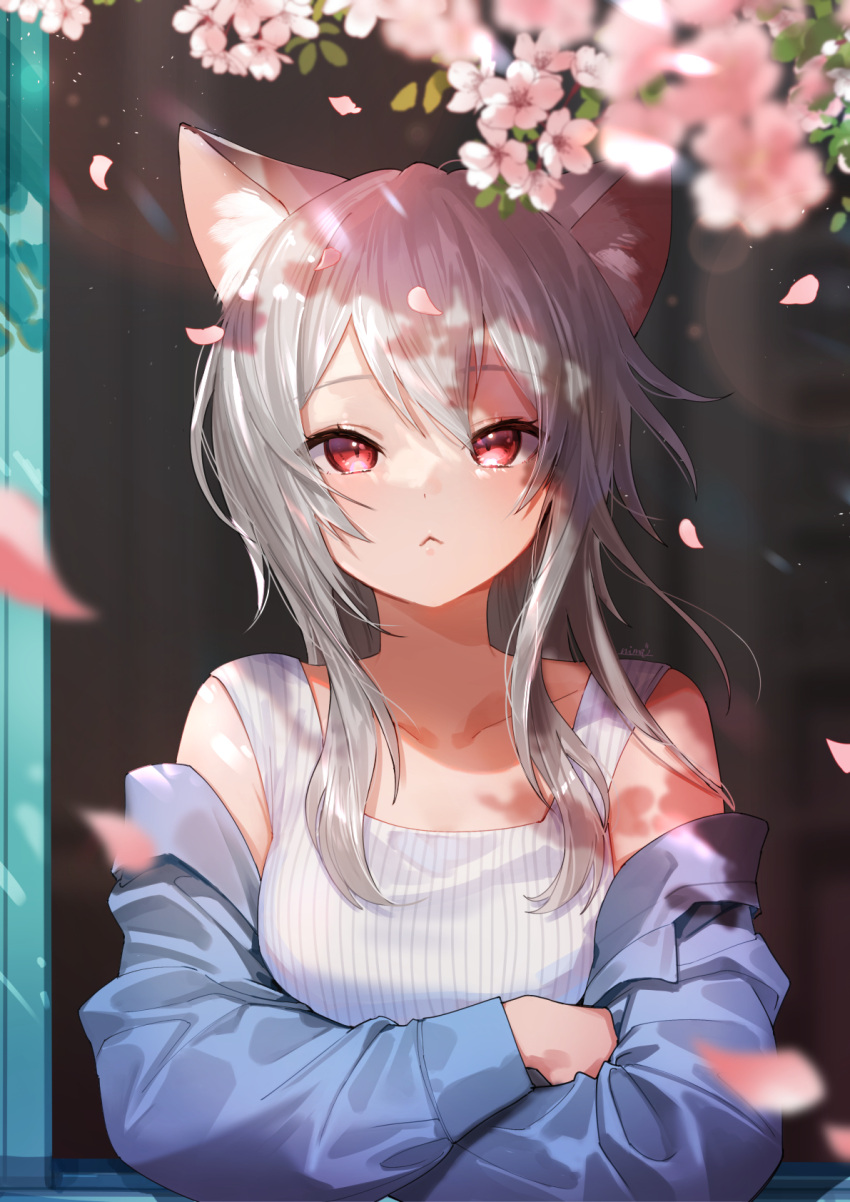 1girl :&lt; animal_ear_fluff animal_ears bangs bare_shoulders blue_jacket blurry breasts cat_ears cat_girl cherry_blossoms closed_mouth collarbone dappled_sunlight day depth_of_field eyelashes flower from_outside grey_hair hair_between_eyes highres jacket long_hair long_sleeves looking_at_viewer nima_(niru54) off_shoulder open_window original petals pink_flower red_eyes sleeveless solo sunlight symbol-only_commentary upper_body wind window