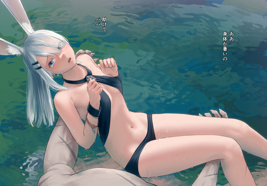 1boy 1girl absurdres animal_ears arknights bikini black_bikini blue_eyes blush carrying extra_ears feet_out_of_frame frostnova_(arknights) hair_ornament hair_over_one_eye hairclip highres long_hair looking_at_viewer navel open_mouth patriot_(arknights) pool pov princess_carry rabbit_ears solo_focus stomach swimsuit water welt_(kinsei_koutenkyoku) wet