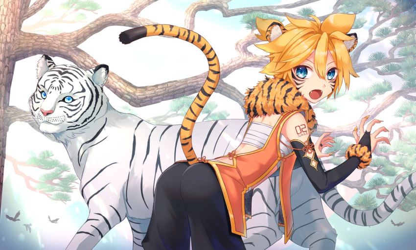 1boy animal animal_ears aroeruji3 ass bird blonde_hair blue_eyes body_markings branch facial_hair fingernails from_behind hair_between_eyes highres jewelry kagamine_len looking_at_viewer looking_back male_focus open_mouth outdoors ring sharp_fingernails solo tail tiger tiger_ears tiger_tail tree vocaloid white_tiger