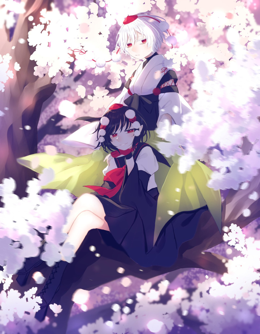 2girls black_footwear black_hair cherry_blossoms closed_mouth commentary cross-laced_footwear hat highres in_tree inubashiri_momiji japanese_clothes looking_at_viewer multiple_girls pom_pom_(clothes) red_eyes red_headwear shameimaru_aya short_hair sitting sitting_in_tree tagme tokin_hat toraneko_2 touhou tree white_hair