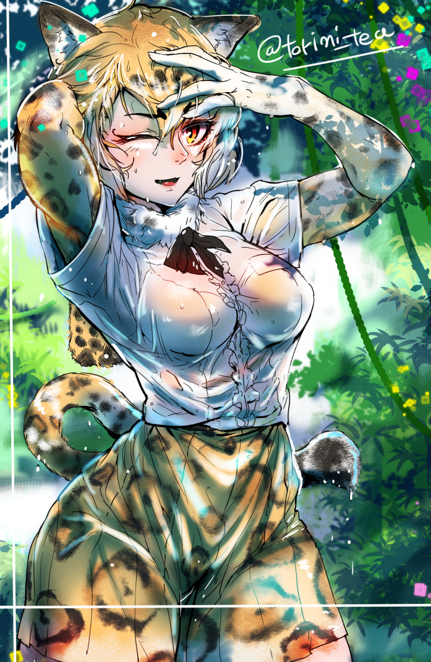 1girl animal_ears arm_behind_head arms_up bangs black_hair blonde_hair bra breasts cowboy_shot day dripping elbow_gloves elbow_pads fang fur_collar gloves hair_between_eyes hand_on_own_forehead hand_on_own_head highres jaguar_(kemono_friends) jaguar_ears jaguar_girl jaguar_print jaguar_tail kemono_friends looking_at_viewer medium_breasts medium_hair miniskirt multicolored_hair one_eye_closed orange_eyes outdoors parted_lips print_gloves print_skirt see-through shirt short_sleeves skirt smile solo tail torichamaru twitter_username underwear up_sleeve wet wet_clothes wet_face wet_hair wet_shirt wet_skirt white_hair white_shirt