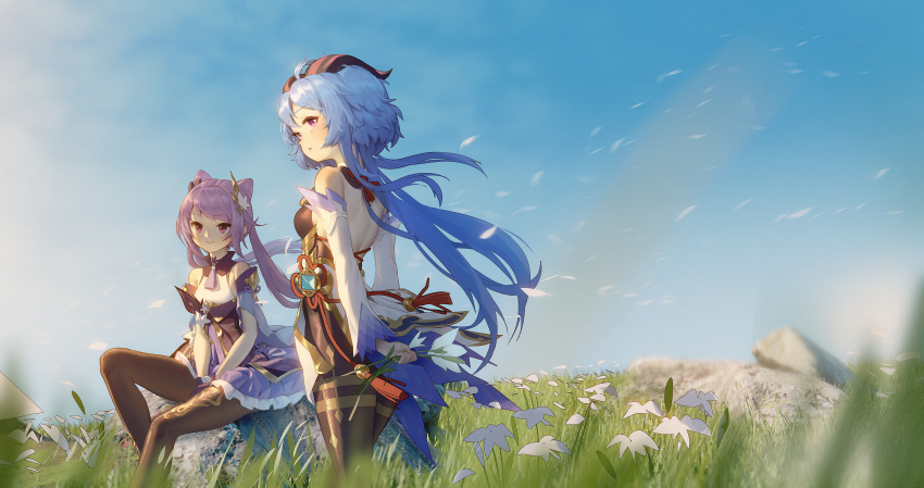 2girls absurdres ahoge bangs bare_shoulders blue_hair blue_sky breasts brown_legwear closed_mouth day detached_sleeves dress floating_hair flower frilled_dress frills ganyu_(genshin_impact) genshin_impact goat_horns hair_flower hair_ornament highres holding holding_flower horns keqing_(genshin_impact) long_hair long_sleeves looking_at_viewer looking_back medium_breasts multiple_girls outdoors pantyhose parted_lips purple_dress purple_hair short_sleeves sitting sitting_on_rock sky standing starsd twintails very_long_hair violet_eyes white_flower wind