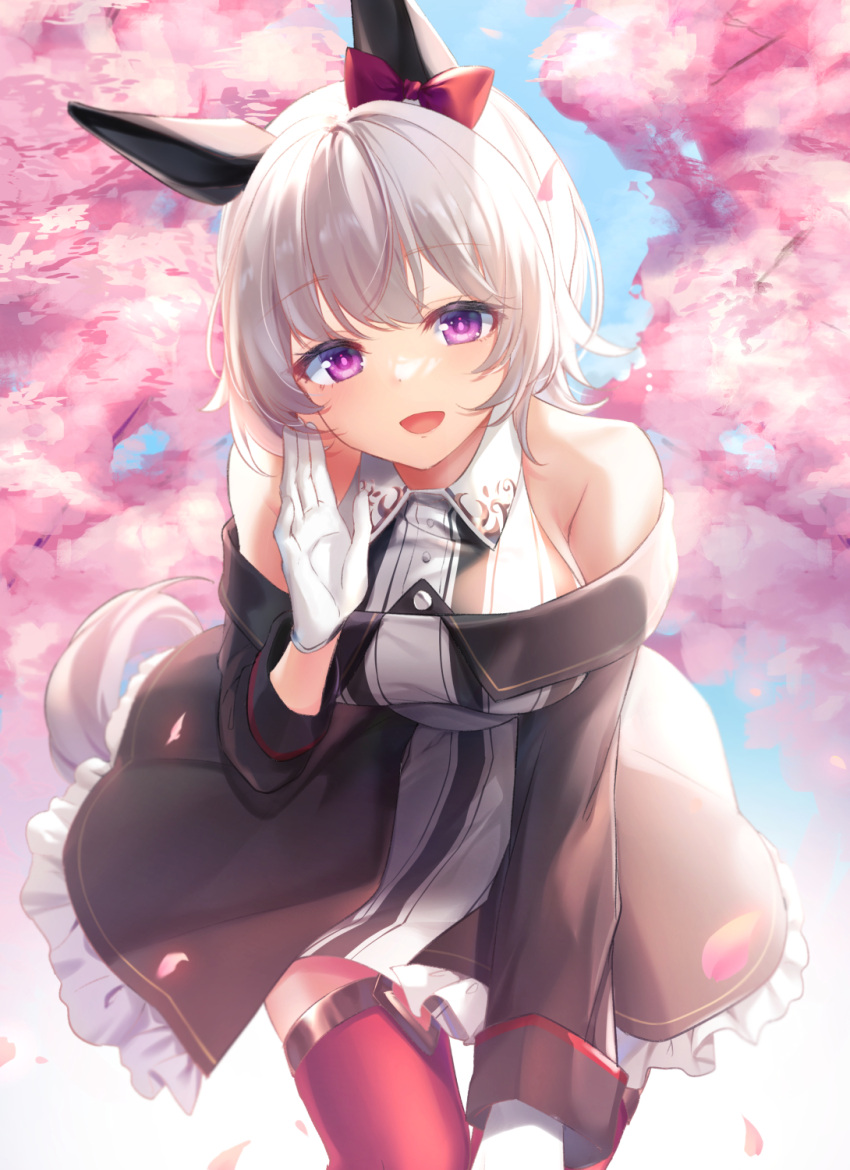 1girl :d bangs bare_shoulders black_jacket blue_sky blush bow branch breasts cherry_blossoms commentary_request curren_chan_(umamusume) day dress ear_bow eyebrows_visible_through_hair gloves grey_hair hand_up highres horse_girl jacket leaning_forward long_sleeves looking_at_viewer medium_breasts off-shoulder_jacket off_shoulder outdoors red_bow red_legwear rukinya_(nyanko_mogumogu) sky sleeveless sleeveless_dress smile solo striped striped_dress thigh-highs umamusume vertical-striped_dress vertical_stripes violet_eyes white_gloves