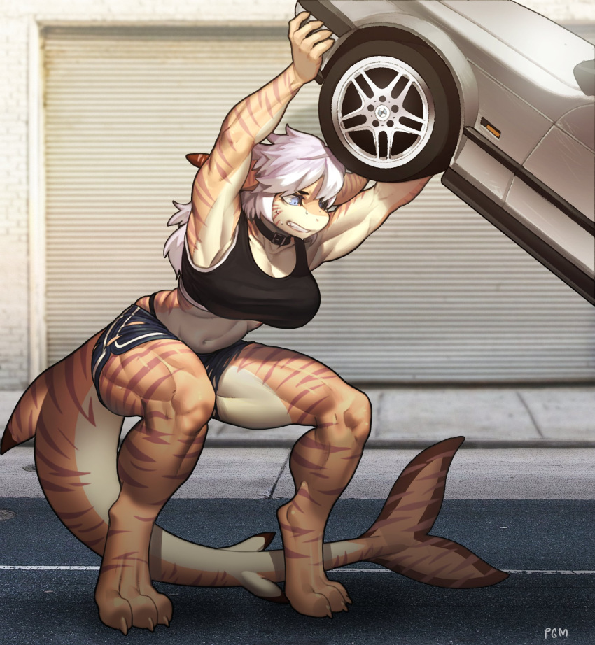 1girl animal_feet armpits artist_name blue_eyes breasts car clenched_teeth collar commission day full_body furry furry_female garage ground_vehicle highres large_breasts midriff motor_vehicle muscular muscular_female navel original outdoors parted_lips pgm300 shorts solo sports_bra standing sweat tail teeth torn_clothes watermark white_hair
