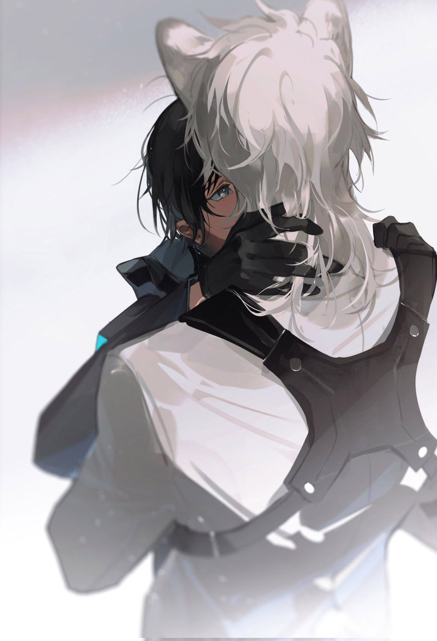 1boy 1girl akai_999 animal_ears arknights black_gloves black_hair black_jacket blurry blurry_background commentary_request doctor_(arknights) eye_contact face-to-face faceless female_doctor_(arknights) gloves grey_eyes hands_in_hair harness hetero highres hug jacket leopard_boy leopard_ears long_hair long_sleeves looking_at_another shirt silver_hair silverash_(arknights) solo_focus upper_body white_hair white_shirt