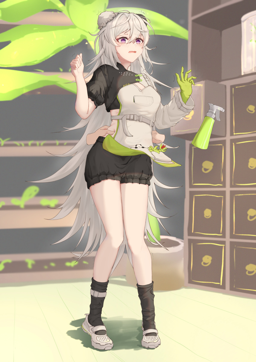 1girl absurdres apron arknights bangs black_legwear black_shorts bun_cover calvaires crop_top disembodied_limb eyebrows_visible_through_hair full_body gloves green_gloves grey_footwear hair_between_eyes hands_up highres indoors kneehighs long_hair long_sleeves motion_lines mulberry_(arknights) mulberry_(plant_crude_drug)_(arknights) official_alternate_costume open_mouth plant potted_plant puffy_short_sleeves puffy_sleeves shelf short_shorts short_sleeves shorts silver_hair single_glove single_sleeve solo_focus standing torso_grab trembling very_long_hair violet_eyes white_apron