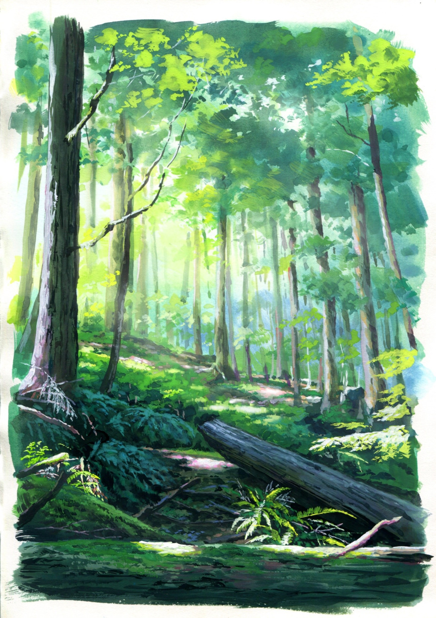 border day forest highres moss nature no_humans original outdoors sawitou_mizuki scenery tree white_border