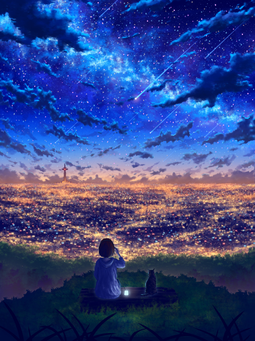 1girl absurdres au_ito cat city city_lights cityscape clouds cloudy_sky commentary_request dark falling_star from_behind highres hill landscape night night_sky original outdoors rooftop scenery sky skyline star_(sky) starry_sky