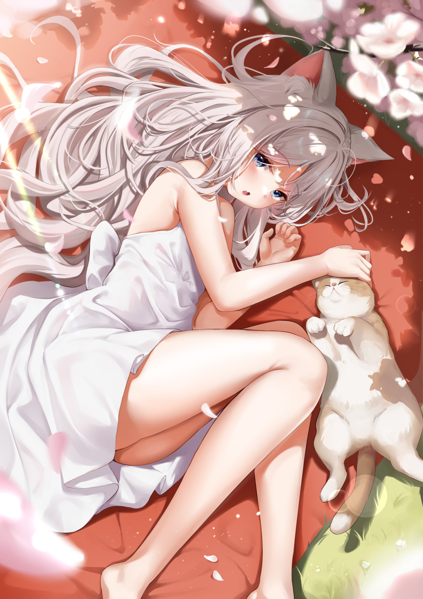 1girl animal_ears bangs bare_shoulders barefoot blue_eyes blush cat cat_ears cherry_blossoms day dress grass highres kokuto_(kurousagi1210) long_hair looking_at_viewer lying on_side open_mouth original shadow solo sunlight white_dress white_hair