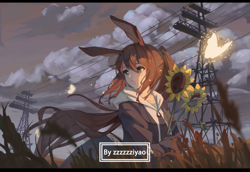 1girl amiya_(arknights) animal animal_ears arknights artist_name bangs black_jacket blue_eyes blurry blurry_foreground brown_hair bug butterfly clouds cloudy_sky commentary_request day depth_of_field eyebrows_behind_hair field flower full_body glowing hair_between_eyes hood hood_down hoodie jacket letterboxed long_sleeves looking_away looking_to_the_side object_hug open_clothes open_jacket outdoors parted_lips ponytail power_lines puffy_long_sleeves puffy_sleeves rabbit_ears sky sleeves_past_wrists solo sunflower transmission_tower white_hoodie yellow_flower zzzzzziyao