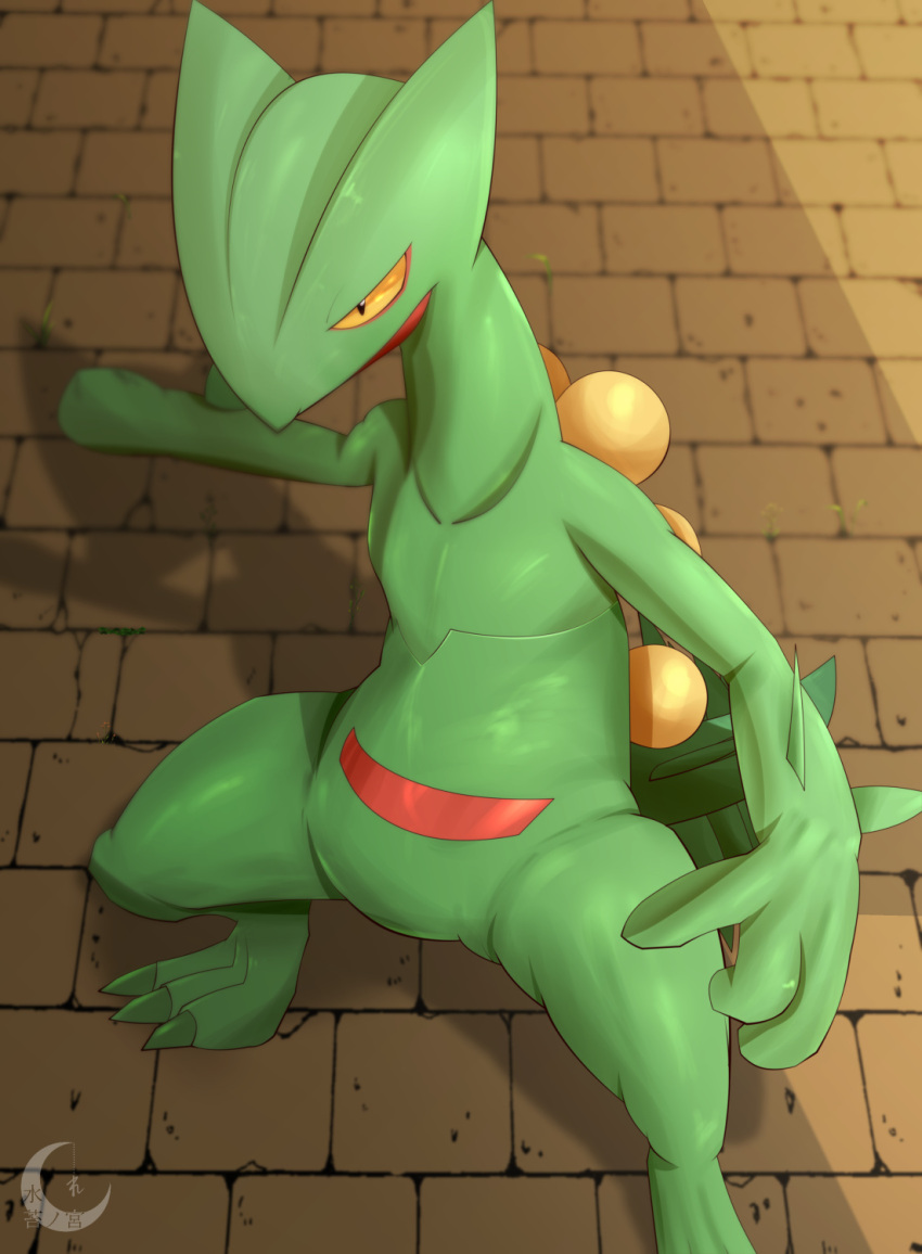 blurry closed_mouth commentary_request highres legs_apart looking_down mizunogoke no_humans pokemon pokemon_(creature) sceptile solo spikes watermark yellow_eyes