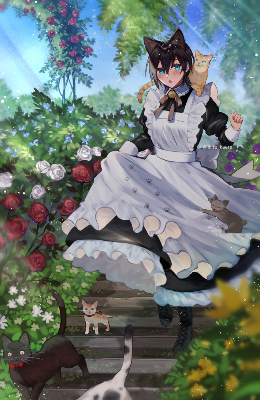 1girl :o animal animal_ears animal_on_shoulder apron bangs bell black_cat black_dress black_footwear black_hair black_ribbon blue_eyes blue_flower blue_sky blurry boots cat cat_ears cat_girl cat_on_shoulder clothes_grab cross-laced_footwear day depth_of_field dress flower full_body hair_between_eyes hand_up highres jingle_bell juliet_sleeves lace-up_boots light_particles long_sleeves looking_at_viewer maid maid_apron neck_bell neck_ribbon original outdoors paw_print plant potted_plant puffy_sleeves purple_flower purple_rose red_flower red_rose ribbon rose shino_yoshihisa short_hair skirt_hold sky solo stairs sunlight walking white_apron white_flower white_rose yellow_flower