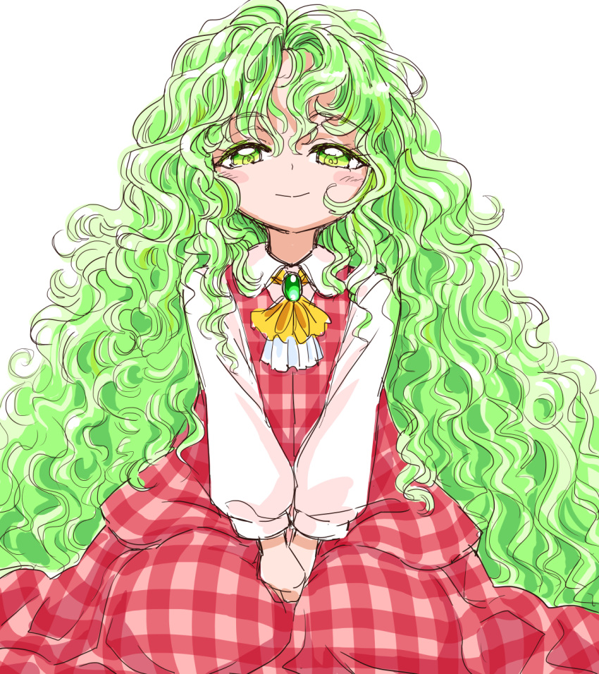 1girl ascot bow brooch dress eyebrows_visible_through_hair green_eyes green_hair highres jewelry kazami_yuuka kazami_yuuka_(pc-98) long_hair long_sleeves plaid plaid_skirt plaid_vest s-a-murai shirt skirt smile solo touhou touhou_(pc-98) vest wavy_hair white_shirt