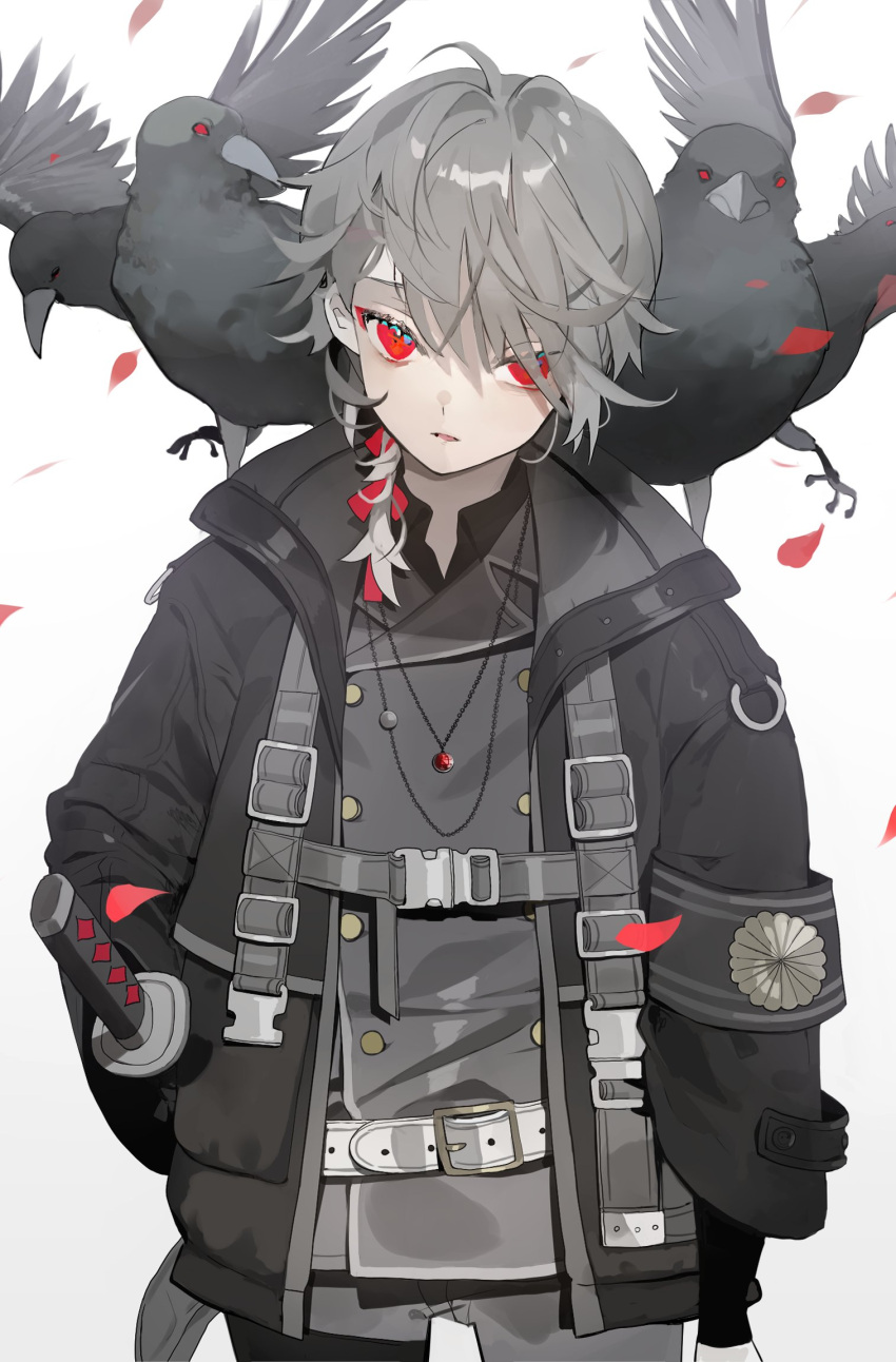 1boy ahoge animal animal_on_shoulder arm_at_side armband bangs belt bird bird_on_shoulder black_jacket black_shirt buttons collared_shirt cowboy_shot crow double-breasted gem grey_hair grey_jacket grey_pants hair_over_one_eye hair_ribbon highres jacket jewelry karohroka katana layered_clothing long_sleeves looking_at_viewer male_focus necklace open_clothes open_jacket original pants parted_lips pendant petals red_eyes red_gemstone red_ribbon ribbon shirt simple_background snap-fit_buckle spot_color swept_bangs sword weapon white_background wide_sleeves wind