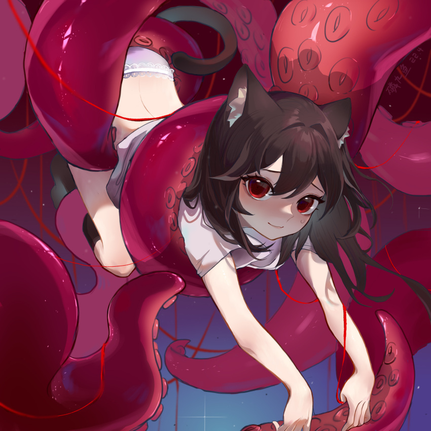 1girl absurdres animal_ear_fluff animal_ears black_legwear brown_hair carrying carrying_person cat_ears cat_tail chinese_commentary commentary_request highres kneehighs linjiiyu_ly9 long_hair looking_at_viewer no_pants original panties red_eyes shirt short_sleeves smile string tail tentacles underwear white_panties white_shirt