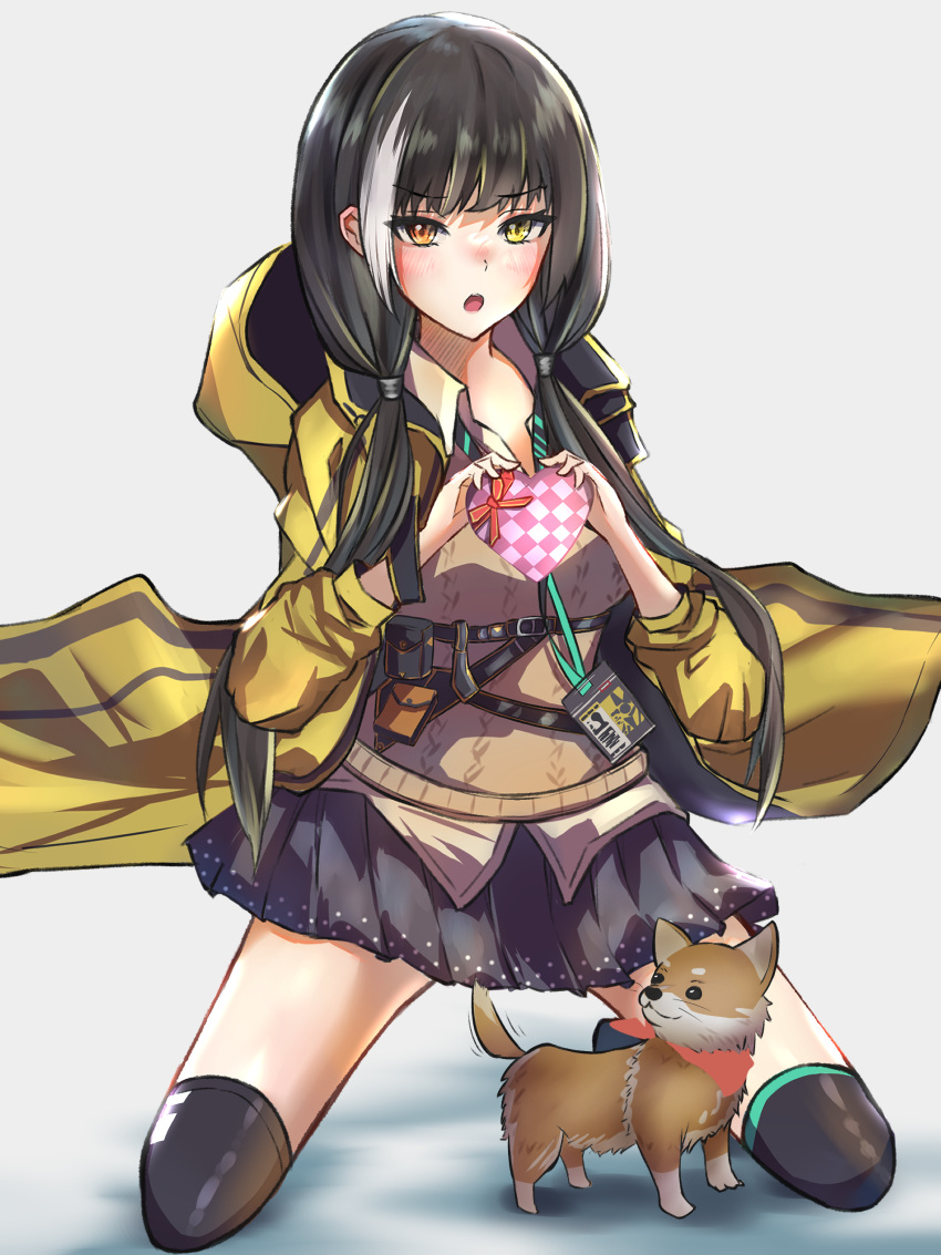 1girl absurdres bangs black_hair black_legwear black_skirt blush box breasts brown_cardigan cardigan dog eyebrows_visible_through_hair gift gift_box girls_frontline hair_ornament hairclip heterochromia highres holding holding_gift hood hooded_jacket id_card jacket kneeling long_hair looking_at_viewer multicolored_hair open_clothes open_jacket open_mouth orange_eyes r9k1 ro635_(girls'_frontline) shirt simple_background skirt small_breasts solo thigh-highs valentine yellow_eyes yellow_jacket yellow_shirt