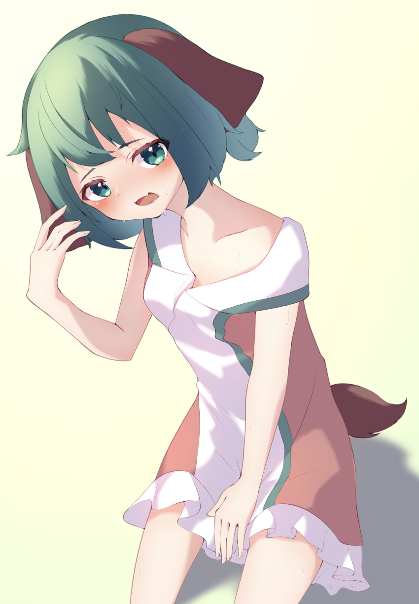 1girl absurdres animal_ears bare_arms bare_shoulders blush collarbone dog_ears dress eyebrows_visible_through_hair fang flat_chest green_eyes green_hair gumi_9357 highres kasodani_kyouko looking_at_viewer open_mouth short_hair sitting skin_fang solo sweat tail tears touhou white_dress