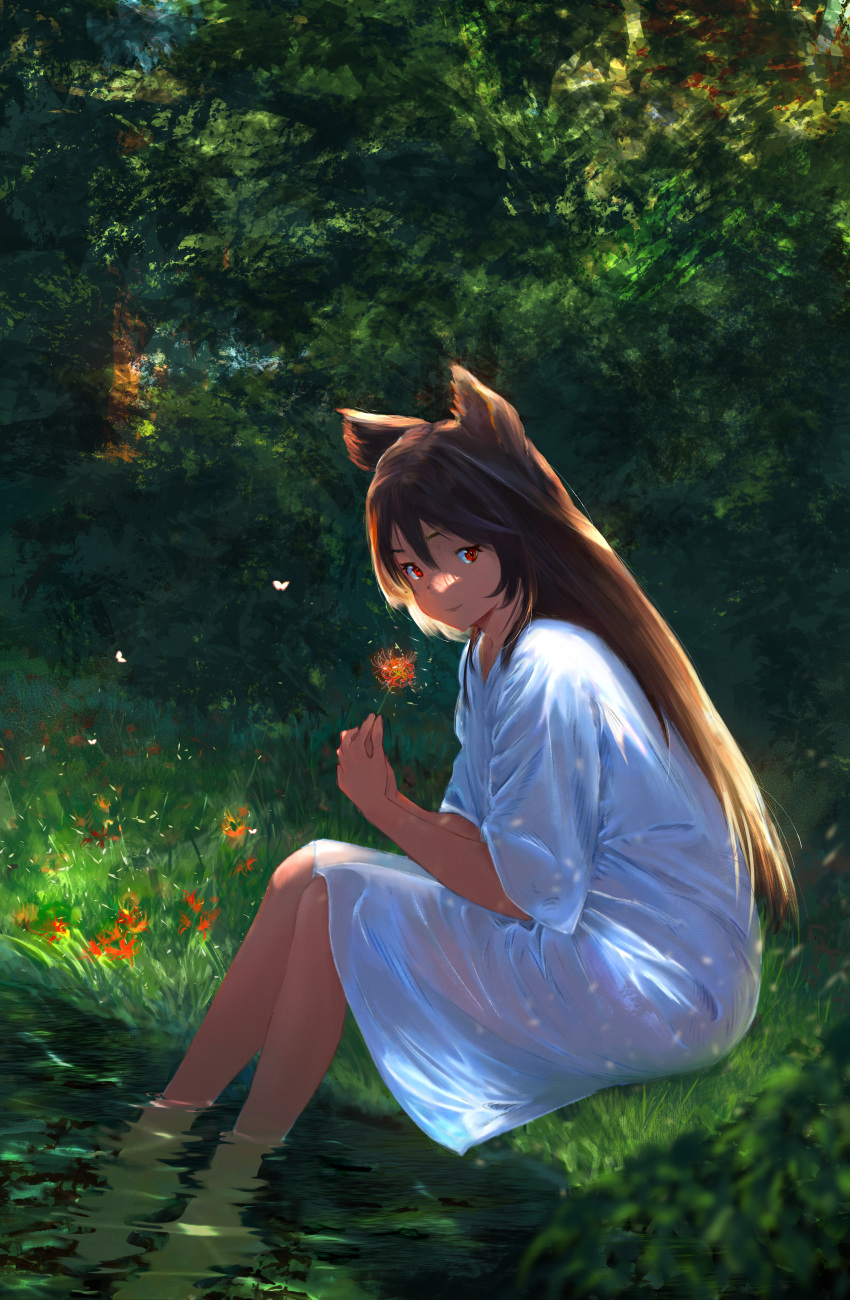 1girl absurdres animal_ears backlighting barefoot black_hair blurry bug butterfly caustics dappled_sunlight day depth_of_field dress erune flower granblue_fantasy grass hair_between_eyes highres holding holding_flower kasaman95 light_particles long_hair looking_at_viewer nature nier_(granblue_fantasy) outdoors partially_immersed partially_submerged plant red_eyes refraction see-through sitting smile solo spider_lily sunlight wading water white_dress