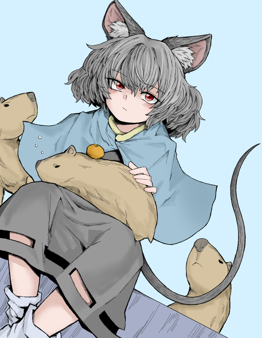 1girl animal_ears animal_on_lap bangs capelet capybara crossed_ankles dress expressionless eyebrows_visible_through_hair fe_(tetsu) food fruit grey_capelet grey_dress grey_hair grey_skirt hair_between_eyes hand_on_animal highres looking_at_viewer mouse_ears mouse_girl mouse_tail nazrin on_lap orange_(fruit) red_eyes shoes short_hair simple_background sitting skirt skirt_cutout sleeping_animal solo tail touhou white_background