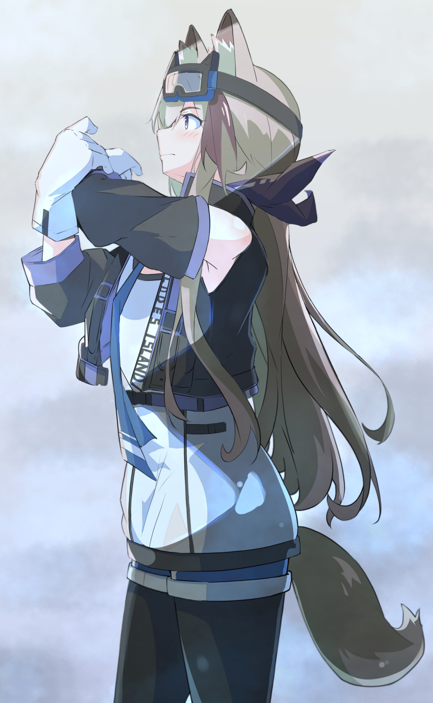 1girl absurdres animal_ears arknights armpits arms_up black_legwear black_vest blue_necktie blue_shirt blush brown_hair cardigan_(arknights) closed_mouth cowboy_shot cropped_vest detached_sleeves dog_ears dog_girl dog_tail from_side gloves goggles goggles_on_head gradient gradient_background grey_background highres legwear_under_shorts long_hair long_sleeves motsupu multicolored_hair necktie pantyhose profile shirt short_shorts shorts solo streaked_hair stretch tail very_long_hair vest violet_eyes white_gloves
