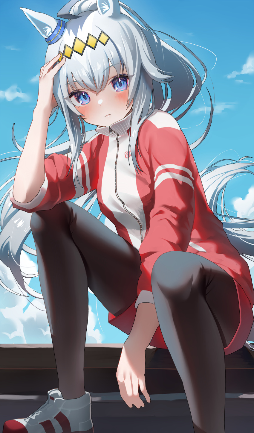 1girl absurdres ahoge animal_ears bangs black_legwear blue_eyes blue_sky blush closed_mouth clouds commentary_request day eyebrows_visible_through_hair highres horse_ears horse_girl horse_tail jacket long_hair long_sleeves looking_at_viewer ningen_mame oguri_cap_(umamusume) outdoors pantyhose shoes silver_hair sitting sky solo tail track_jacket umamusume white_footwear zipper