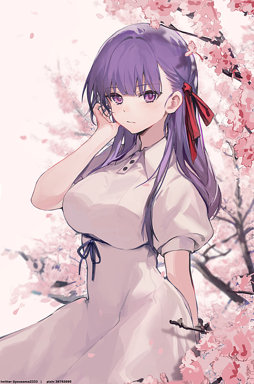 1girl absurdres bangs blush breasts closed_mouth collared_dress dress fate/stay_night fate_(series) flower hair_ornament hair_ribbon hand_up heaven's_feel highres kitere large_breasts long_hair looking_at_viewer matou_sakura petals puffy_short_sleeves puffy_sleeves purple_hair red_ribbon ribbon short_sleeves solo violet_eyes white_dress