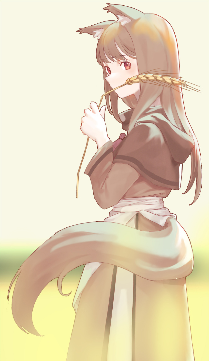 1girl absurdres animal_ears brown_capelet brown_dress brown_eyes capelet chenjiyan_(sedimentart) dress eyebrows_visible_through_hair from_side highres holding holo hood hooded_capelet looking_at_viewer mouth_hold solo spice_and_wolf stalk_in_mouth tail wheat wolf_ears wolf_girl wolf_tail