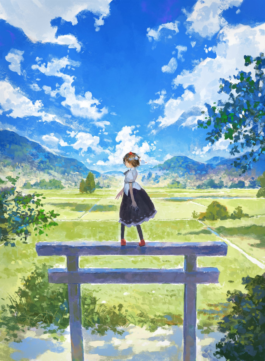 1girl black_legwear black_ribbon black_skirt blush brown_hair clouds cloudy_sky commentary_request fjsmu grasslands hat highres looking_at_viewer looking_back mountainous_horizon nature neck_ribbon pom_pom_(clothes) puffy_short_sleeves puffy_sleeves red_eyes red_footwear red_headwear reflection ribbon scenery shameimaru_aya shirt shoes short_hair short_sleeves skirt sky solo tokin_hat torii touhou tree water white_shirt
