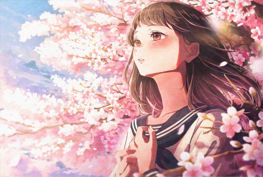 1girl bangs blouse blush branch brown_eyes brown_hair cherry_blossoms clouds floating_hair hands_up highres looking_away medium_hair original outdoors parted_lips petals sailor_collar shirt solo tsujin_bohboh upper_body wind