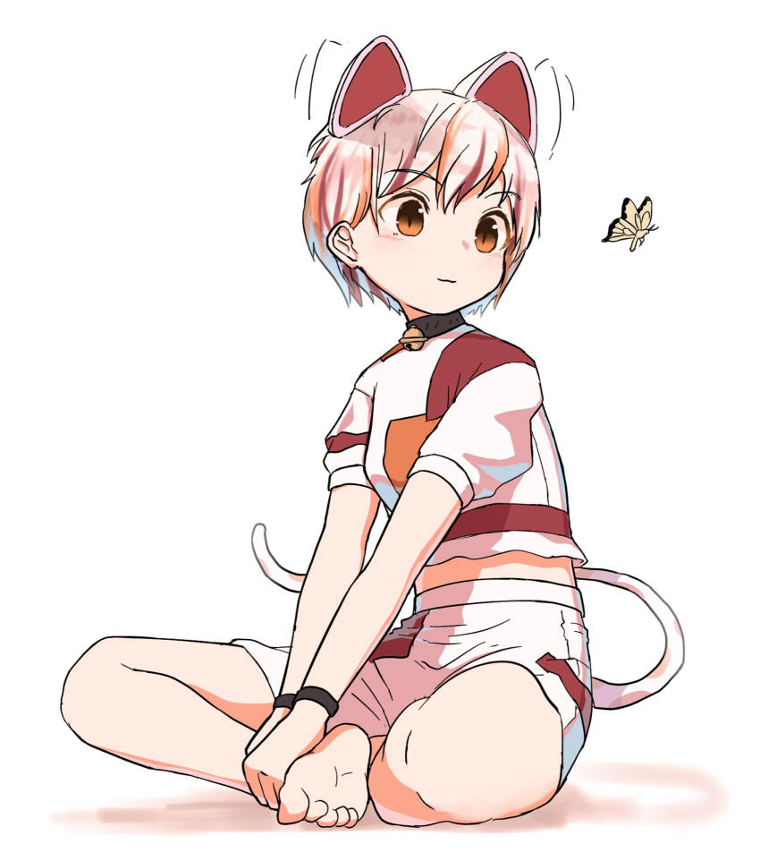 1girl :3 animal_ears barefoot bug butterfly cat_ears cat_tail choker full_body goutokuji_mike highres indian_style kashiwa_kona light_smile looking_at_animal shirt short_hair short_sleeves shorts simple_background sitting solo tail toes touhou v_arms white_background
