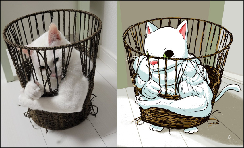 basket cat closed_mouth green_eyes highres in_container indoors keke_(kokorokeke) looking_to_the_side no_humans original photo_(medium) reference_inset white_cat white_fur