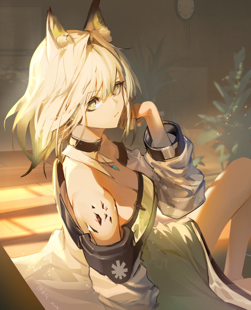1girl absurdres animal_ear_fluff animal_ears arknights bangs bare_shoulders black_choker cat_ears choker commentary dress eyebrows_visible_through_hair green_dress green_eyes highres indoors kal'tsit_(arknights) kirsos looking_at_viewer off_shoulder plant short_hair solo white_hair