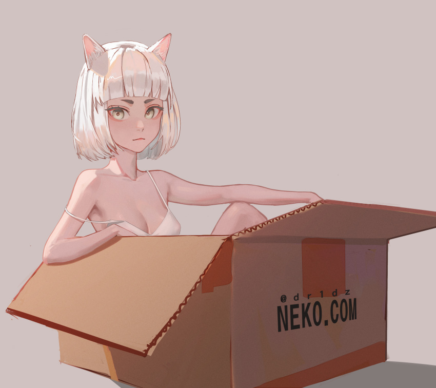 1girl absurdres animal_ear_fluff animal_ears artist_name bangs blunt_bangs bob_cut box bra breasts cardboard_box cat_ears closed_mouth collarbone commentary drid expressionless grey_hair highres in_box in_container knee_up looking_at_viewer medium_breasts original outstretched_arm shadow short_hair simple_background sitting solo strap_slip underwear underwear_only web_address white_bra white_hair yellow_eyes